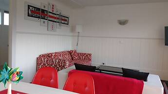 Diamond Island Resort & Penguin viewing