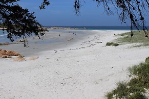 Diamond Island Resort & Penguin viewing