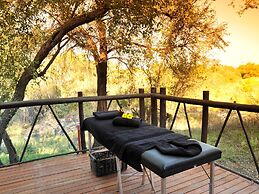 Madikwe River Lodge
