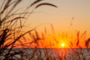 Domes of Corfu Autograph Collection