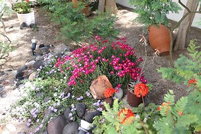 Spiros & Hiroko Hotel - Adults Only