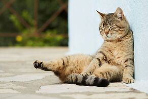Arolithos Traditional Cretan Village