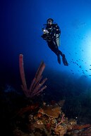 LionsDive Beach Resort