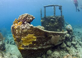 LionsDive Beach Resort