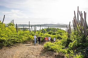 LionsDive Beach Resort