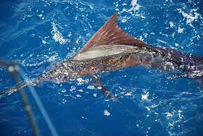 El Cid Marina Beach Hotel