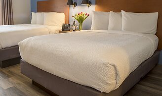 Hotel Focus SFO