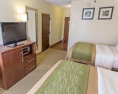 Comfort Inn Hammond