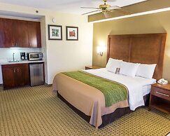 Comfort Inn Hammond