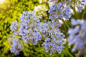 PUENTE ROMANO MARBELLA