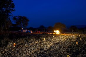 Kirawira Serena Camp