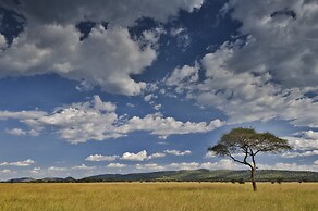 Kirawira Serena Camp