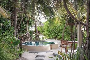 Coco Palm Dhuni Kolhu