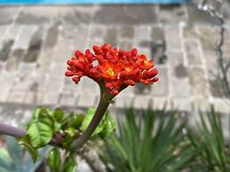 Hacienda de los Santos