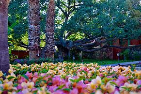 Hacienda de los Santos