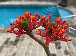 Hacienda de los Santos