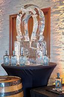 Marriott Dallas Las Colinas