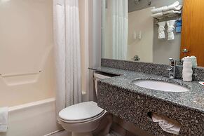 Microtel Inn & Suites by Wyndham Pigeon Forge