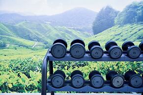 Sercotel Amistad Murcia