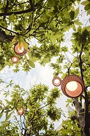 The Mandala Berlin, a Member of Design Hotel