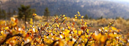 Holiday Club Saariselka