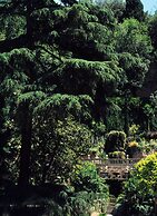 Rocco Forte Hotel De Russie