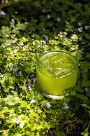 Rocco Forte Hotel De Russie