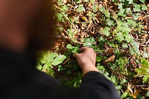 TRIHOTEL Rostock – Wellnesshotel Adults Only