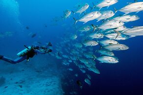 Jean-Michel Cousteau Resort Fiji