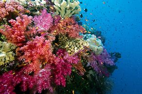 Jean-Michel Cousteau Resort Fiji