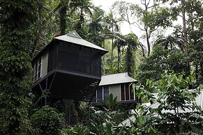 Daintree Ecolodge