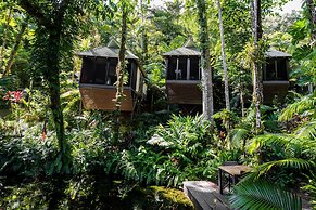 Daintree Ecolodge