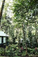 Daintree Ecolodge