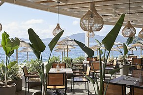 MarBella, Mar-Bella Collection