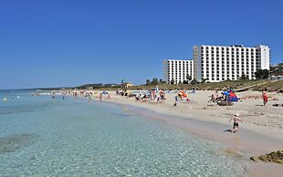 Sol Milanos Pingüinos