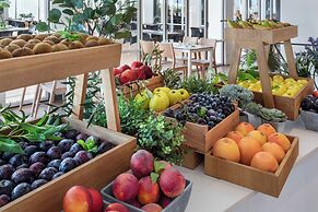 Sol Milanos Pingüinos