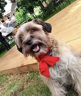 Sonesta Posadas del Inca - Valle Sagrado Yucay Urubamba