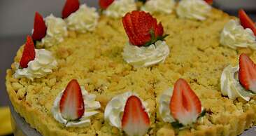 ANEW Hotel Hatfield Pretoria