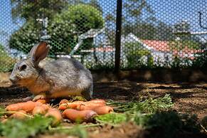 Savoy - IHCL SeleQtions