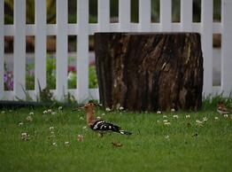 Savoy - IHCL SeleQtions