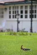 Savoy - IHCL SeleQtions