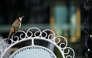 Savoy - IHCL SeleQtions