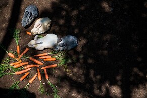 Savoy - IHCL SeleQtions