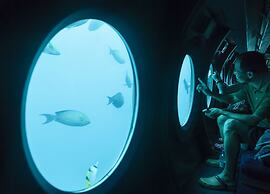 Taj Coral Reef Resort & Spa Maldives – A Premium All Inclusive Resort