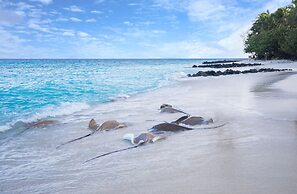 Taj Coral Reef Resort & Spa Maldives – A Premium All Inclusive Resort