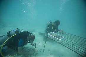 Taj Coral Reef Resort & Spa Maldives – A Premium All Inclusive Resort