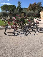 Santa Maria degli Ancillotti