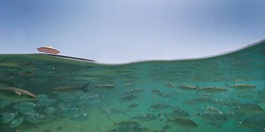 Pine Bay Holiday Resort