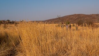 Bakubung Bush Lodge