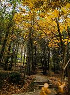 Pearl Continental Bhurban